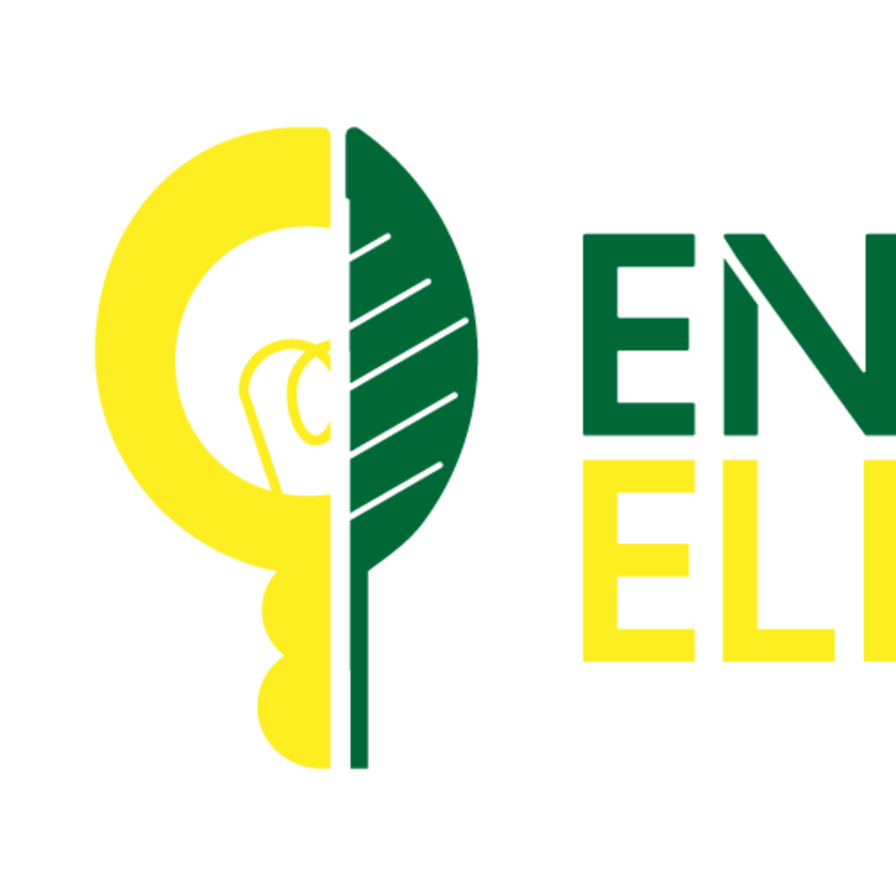 Logotype Draft - EnviroElectro